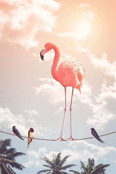 Flamingo &amp; Friends von Jonas Loose