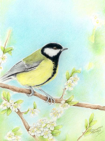 Koolmeesje van Rianne Brugmans van Breugel