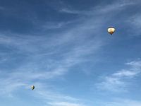 Lernen Sie 2 Fliegen