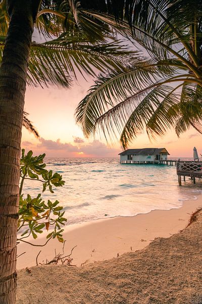 Vue du lever du soleil à travers les palmiers par Christian Klös