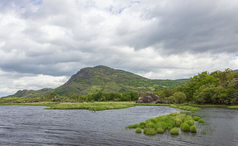 Owengarriff River Killarney (Ireland) by Marcel Kerdijk
