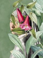 Meisje met de Parel - the Shy Edition