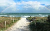 Dune Path and Rainbow