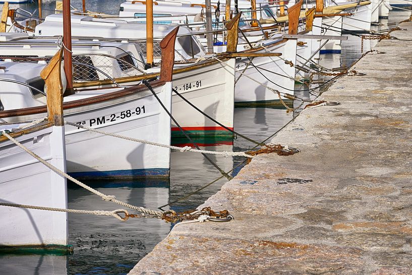 Mallorcan fishing boats in the Port de Pollenca by Rolf Schnepp