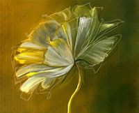 Vertrauen in den Prozess