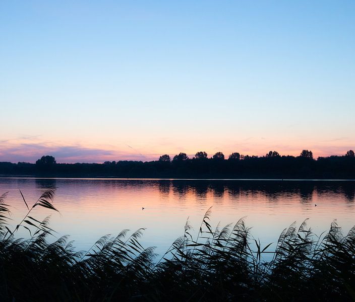 calm water by Alette Jager