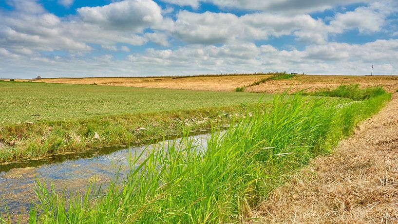 Sommerlandschaft Nordholland von eric van der eijk