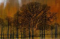 impressionist trees in water