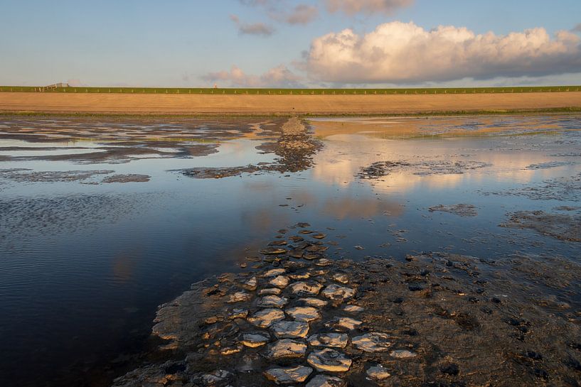 Wadden Sea near Westhoek by Meindert van Dijk