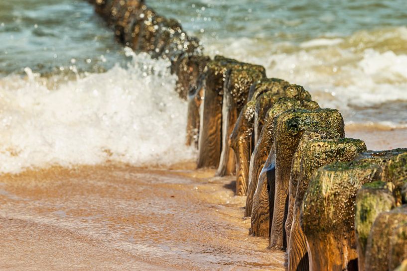 Buhnen am Strand der Ostsee von Gunter Kirsch