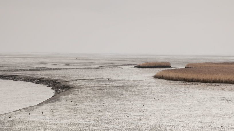 Niedrigwasser auf der New |State Side von Dick Doorduin