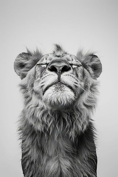 Lion fatigué en noir et blanc par Poster Art Shop