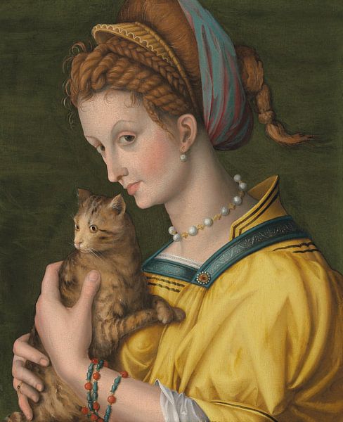 Portrait of a young lady holding a cat, Bachiacca by Bridgeman Masters