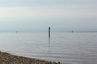 Bodensee-Zauber: pfähle im wasser