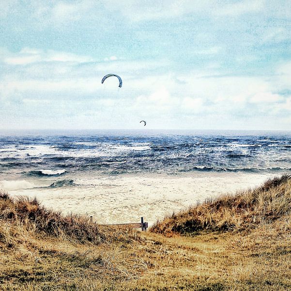 KITESURF MER DU NORD 2019 HDRI-Q par Pia Schneider