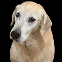 crème pour chien drôle