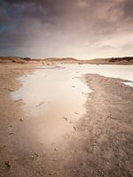 Waterrijke Duinlandschap