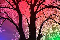Arbre en rouge, violet et vert
