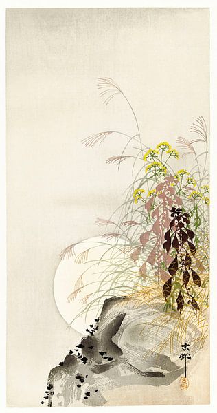 Gras und Vollmond (1900 - 1936) von Ohara Koson von Studio POPPY