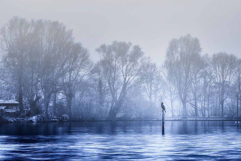 Warten auf den Frühling von Jan van der Knaap