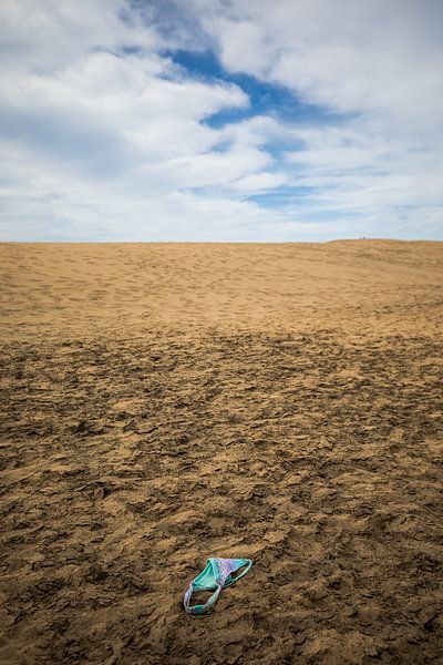 dunes of Maspalomas on Gran canaria by Eric van Nieuwland