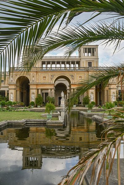 Palmen in Potsdam von Frederike Heuvel