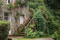 Normannisches Haus mit Vegetation.