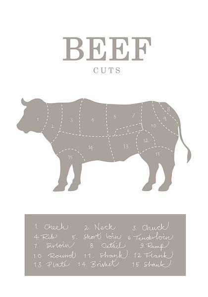 Beef Cuts by Pictufy Studio II