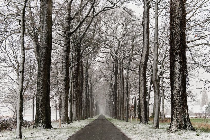 Journées d&#039;hiver par Rudi Everaert