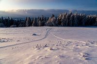 Des lignes d'orientation dans la neige