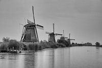 Moulins à vent près de Kinderdijk Rotterdam Noir et blanc