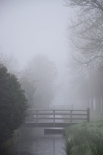 Fog - Winter enchantment by Ingrid de Vos - Boom