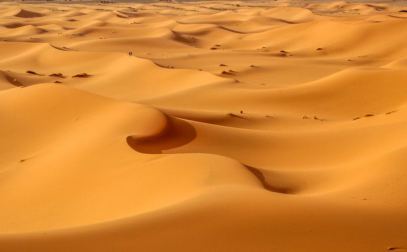 Walking at the Curved Sand Dunes (Marokka) von Tux Photography