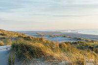 Dunes | beach | nature photography wall art