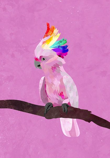 Stolz Galah von Sarah Manovski