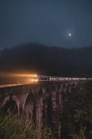 Train 9 Arch bridge Ella Sri Lanka