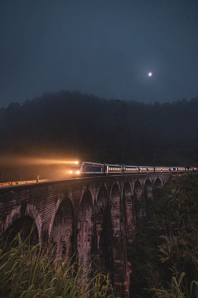 Train 9 Arch bridge Ella Sri Lanka by Joash Korfker