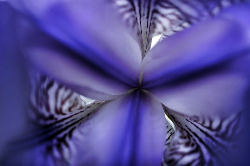 Mandala von Martine Affre Eisenlohr