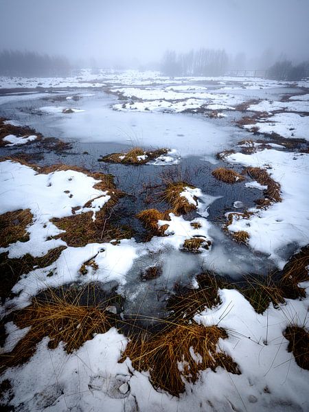 La magnifique lande de Brackvenn par Eddy Westdijk