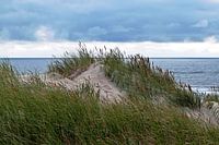 Magnifique dune de sable à Henne Strand dans le Jutland