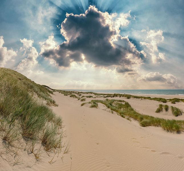 Paysage de dunes, Egmond aan Zee, Hollande du Nord par Rene van der Meer