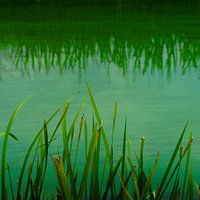 Grüner Minimalismus