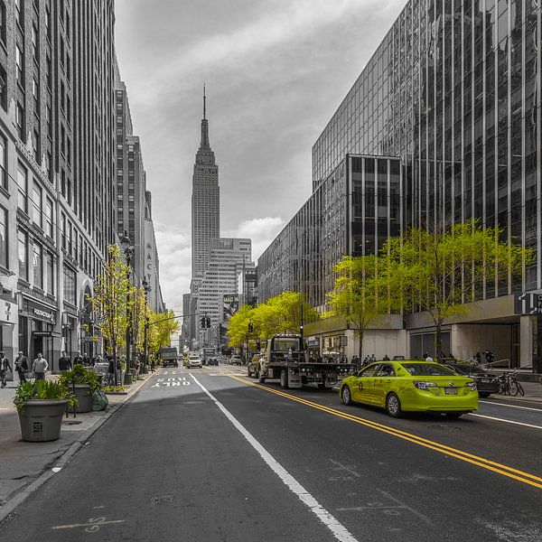 New York - Empire State Building and 5th Avenue (3) by Tux Photography
