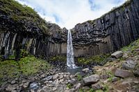 Svartifoss Wasserfall in Island | Reisefotografie