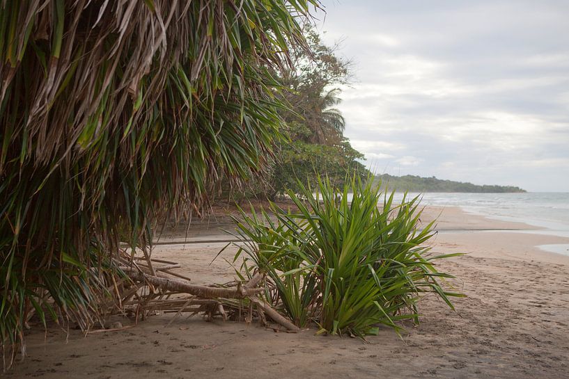 Caraïbische kust - Costa Rica van t.ART