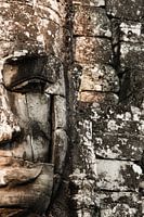 Budha face, Bayon
