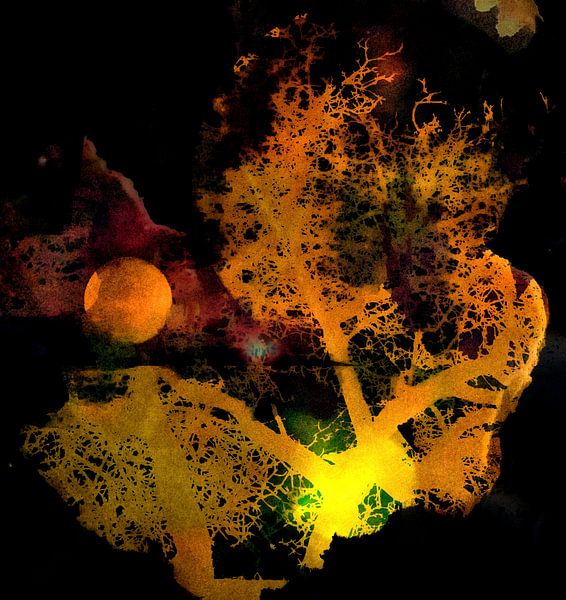 Coucher de soleil en Afrique par Mad Dog Art