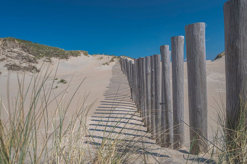 Kennemerduinen, Hollande septentrionale par Peter Bartelings