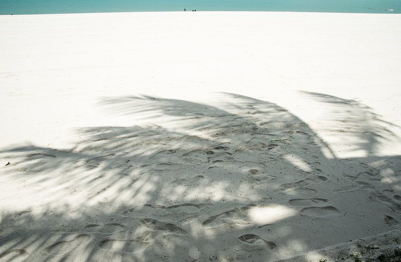Schatten Palmen von Annelies Martinot