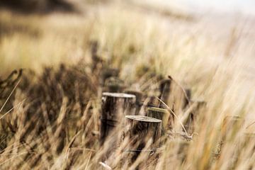 Den Blick aufs Wesentliche von Petra Dreiling-Schewe